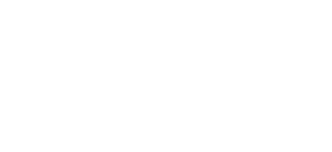 GEM Foundation logo