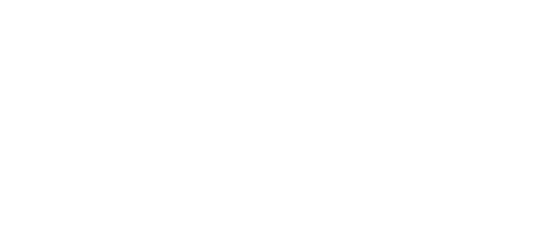 GEM Foundation logo